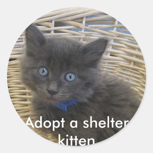 112907 Petfinder 028, Adoptier eines Junghüttenkit Runder Aufkleber (Vorderseite)