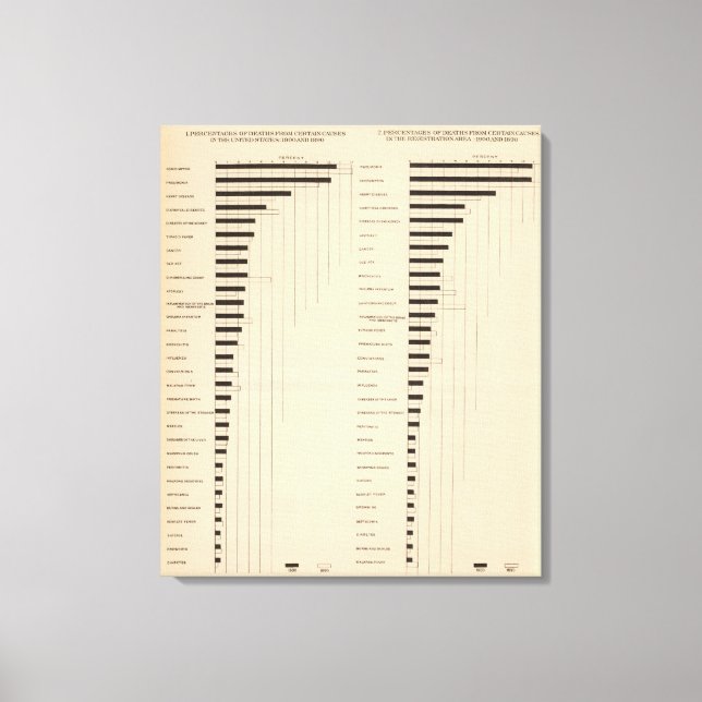 112 Todesraten, Ursachen 1900, 1890 Leinwanddruck (Vorderseite)