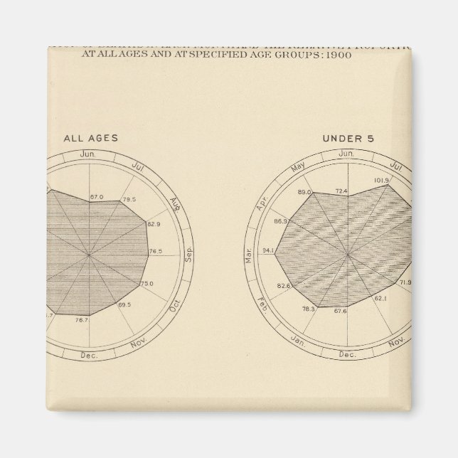 113 Todesfälle bis Monat 1900 Magnet (Vorne)