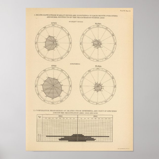 115 Death Scharlach, Diphtherie Poster (Vorne)