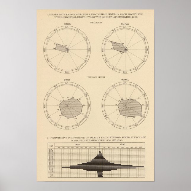 117 Deaths influenza, typhoid fever 1900, 1890 Poster (Vorne)