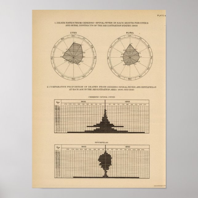 118 Todesfälle Zerebrospinalfieber Poster (Vorne)