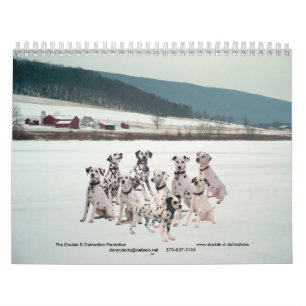 11-2008_02, der doppelte d-Dalmatiner… - Besonde Kalender