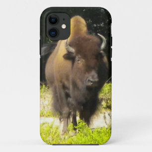 11 Bison iPhone 5 coque