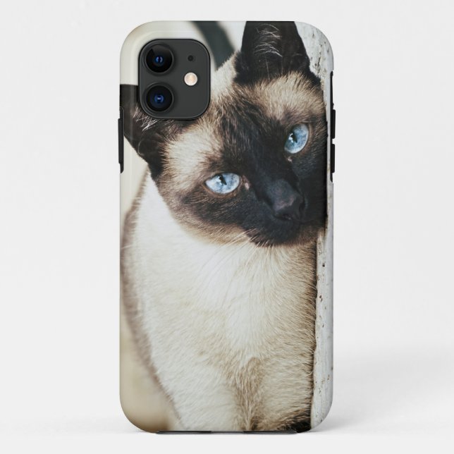 11 coque iphone de chat siamois (Dos)