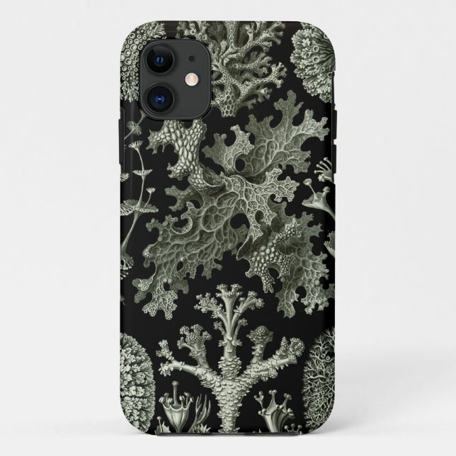 11 coque iphone Haeckel - Lichenes (Dos)