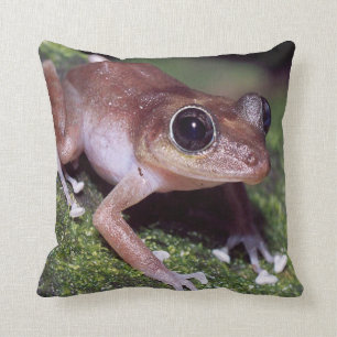 #11-female Baumfrosch Kissen