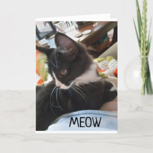 11." GEBURTSTAG WÜNSCHT SICH VON BEIDEN US-HUNDERk Karte