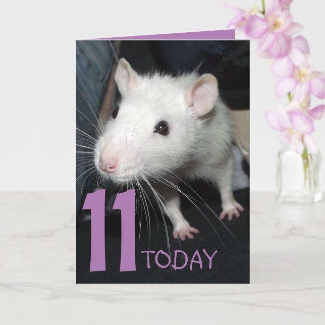 11 heute (anpassbar) Husky rat Birthday Card Karte (Orchidee)