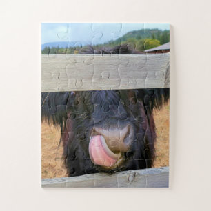 11"x14" puzzle 30 pc Easy   Scottish Highland Cow