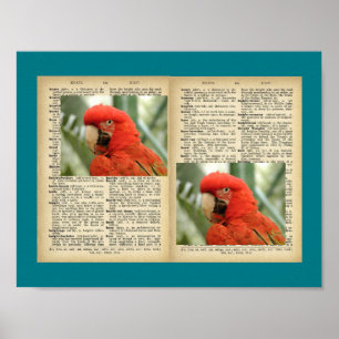 11" x 8,5", Poster (Oiseaux Et Textes Vintages)