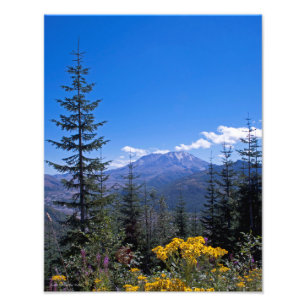 11X14 Berg St Helens Fotodruck