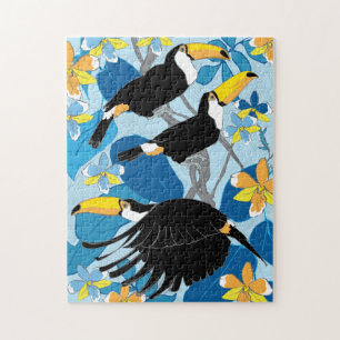 11x14 Toucan Puzzle für Colorblinde