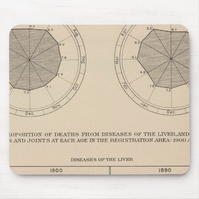 124 Erkrankungen des Verdauungsapparates, Leber Mousepad (Vorne)