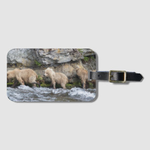 128 Grazers CUB an den Bach-Fällen - Gepäckanhänger