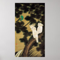 12. 老 松 鸚 図, 若 冲 Pine-tree & Parrot, Jakuchū