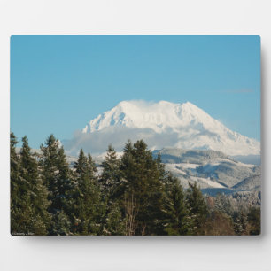12/22/2014 FOTOPLATTE