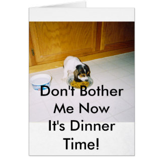 12-30-2008 06 ; 09 ; 30PM, ne me tracassent pas