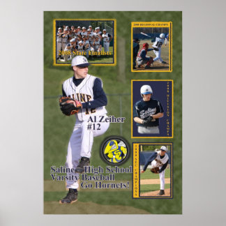 #12 Al 2008 Saline Baseball Poster
