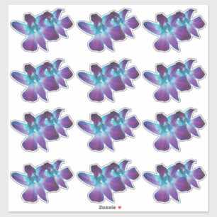 12 Blaue Dendrobium-Orchideen-Blumen-Kiss-Cut-Aufk Aufkleber