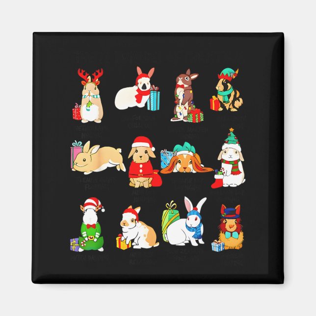 12 Bunny Of Christmas Bunny Rabbit Christmas Xmas  Magnet (Vorne)