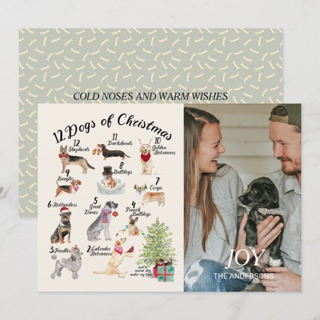 12 chiens de carte photo de vacances de joie de (Devant / Derrière)