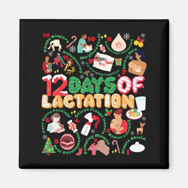 12 Day Of Ibclc Lactation Consultant Breastfeeding Magnet (Vorne)