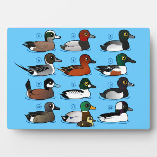 12 Enten Fotoplatte
