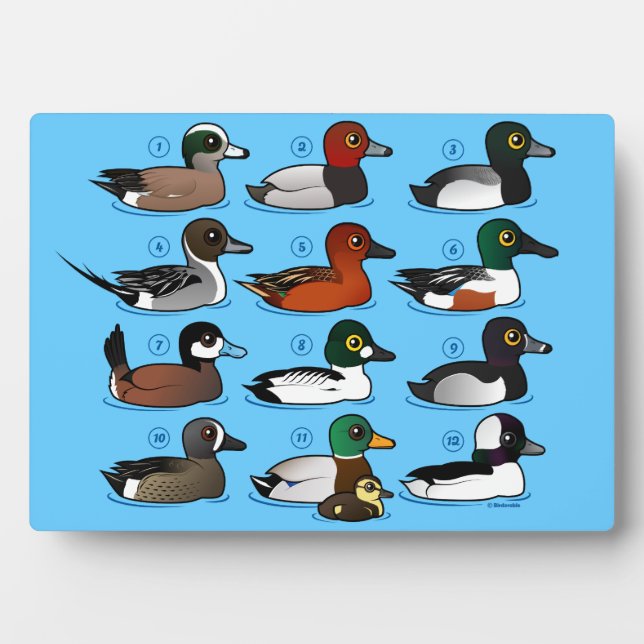 12 Enten Fotoplatte (Vorderseite)