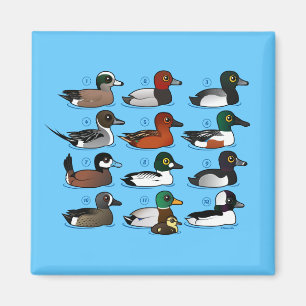 12 Enten Magnet