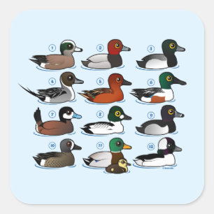 12 Enten Quadratischer Aufkleber
