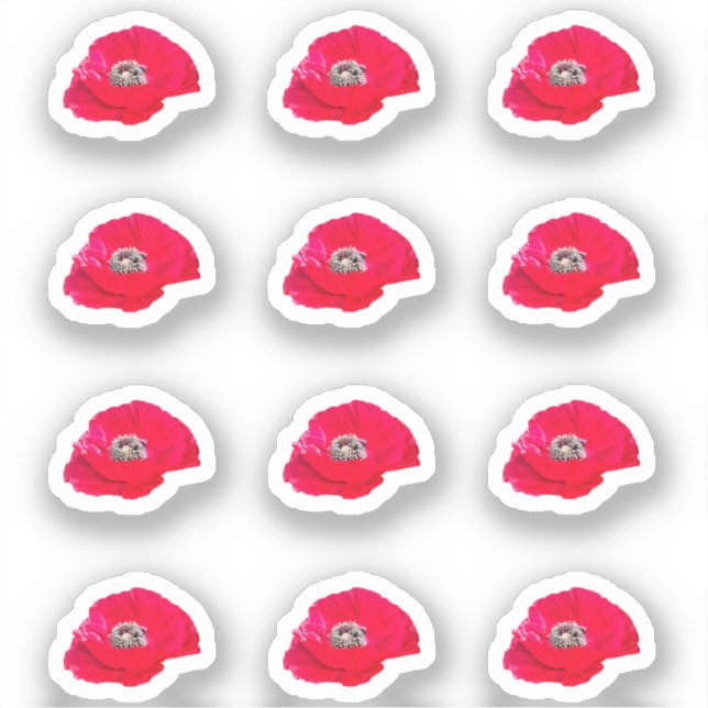 12 Mini Stickers Poppy (Recto)