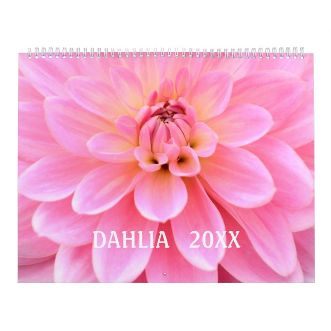 12 mois beau calendrier photo Dahlia (Protection)