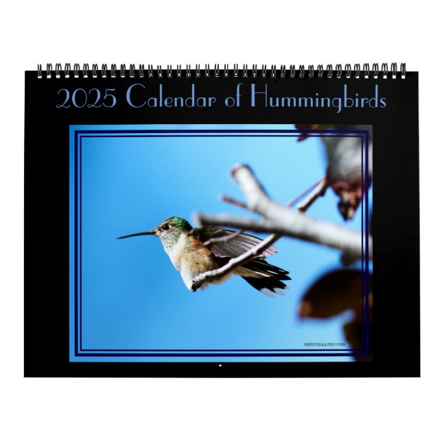 12 mois de calendrier des colibris. (Protection)