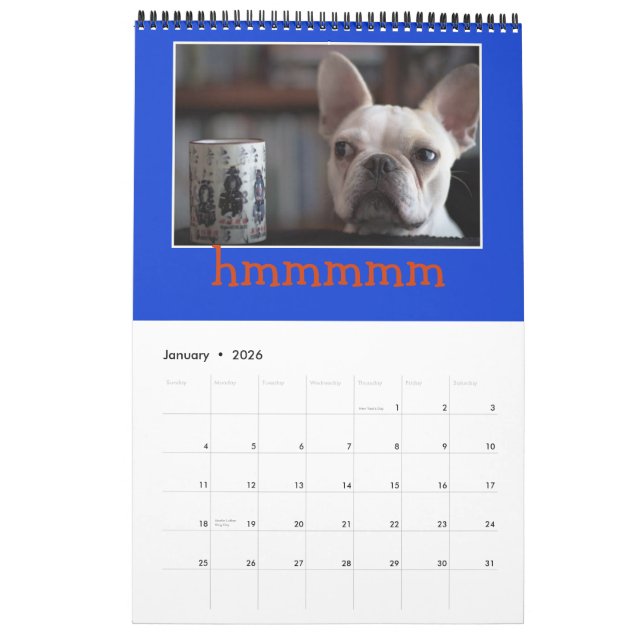 12 mois de M. K, adorable calendrier français! ! (Jan 2026)