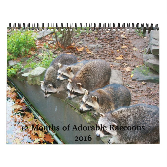 12 mois du calendrier adorable 2016 de ratons (Protection)