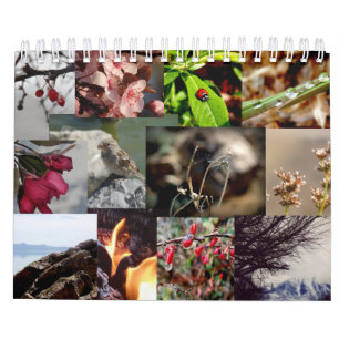 12 mois du calendrier de la Nouvelle Zélande
