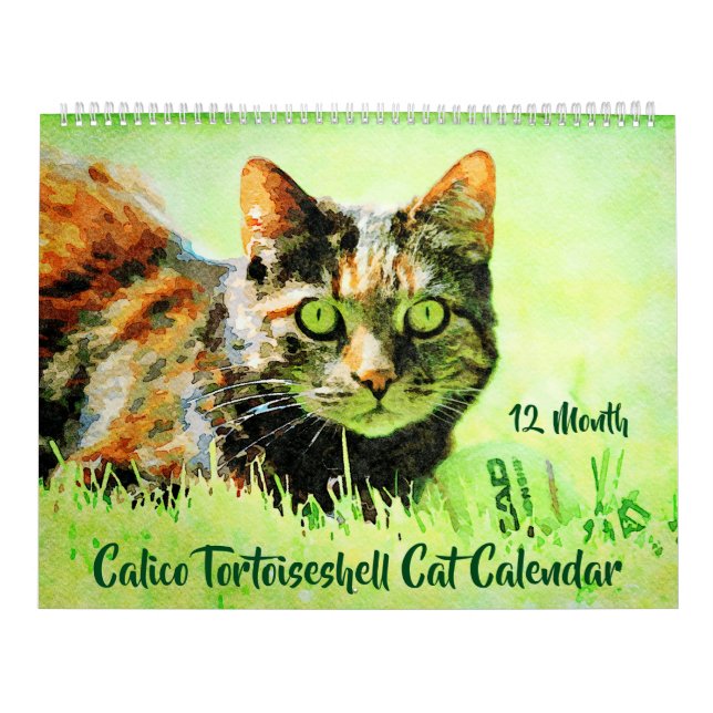 12 Monat Calico Tortoiseshell Cats Geschenk für Wa Kalender (Titelbild)