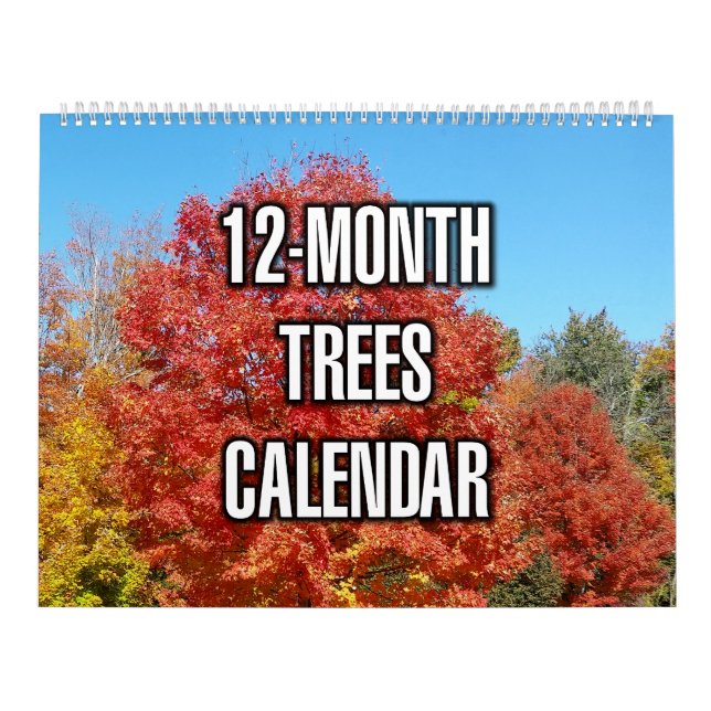 12-Monate-Bäume Kalender (Titelbild)
