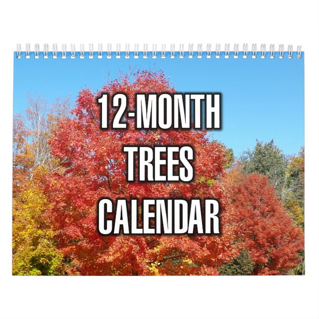 12-Monate-Bäume Kalender (Titelbild)