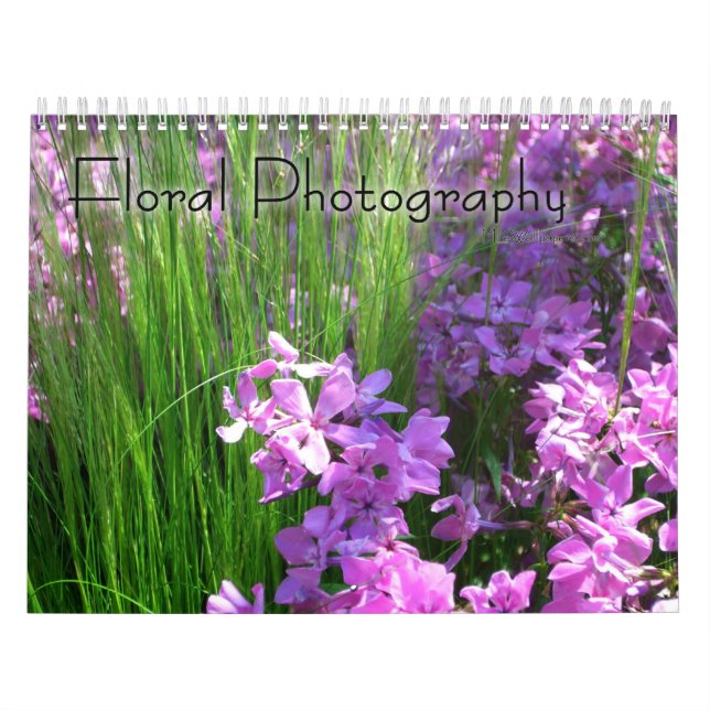 12 Monate Blumenfotografie, 1. Ausgabe Kalender (Titelbild)