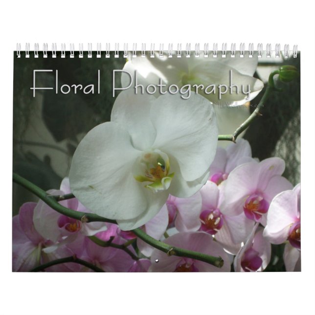 12 Monate der Blumenfotografie, 2. Ausgabe Kalender (Titelbild)