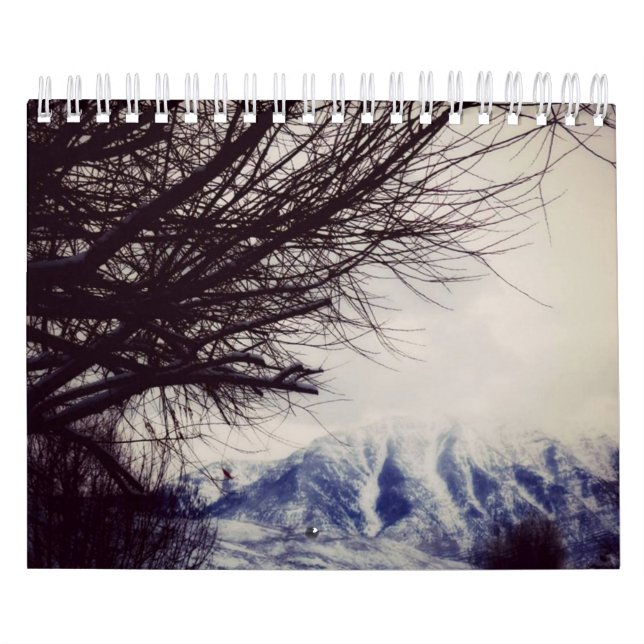 12 Monate der Jahr-Holländer/des Belgien-Kalenders Kalender (Titelbild)