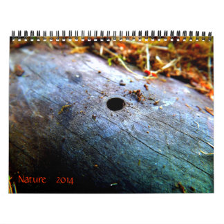 12 Monate der Natur Kalender