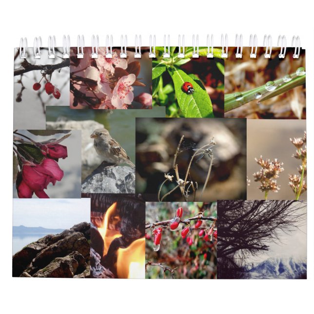 12 Monate des Jahr-Neuseeland-Kalenders Kalender (Rückseite)