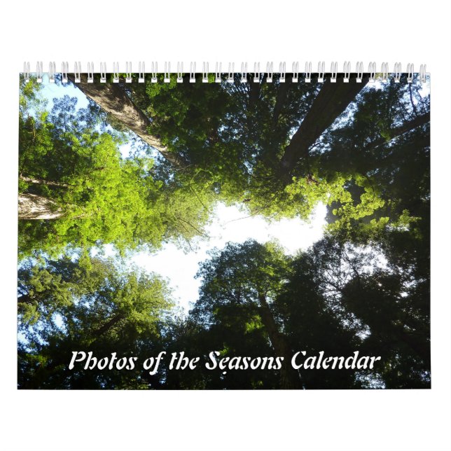 12 Monate Fotos der Saison, 7. Ausgabe Kalender (Titelbild)
