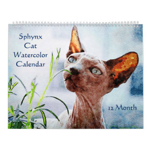 12 Monate Haarlose Sphynx Katzen Aquarellbilder Kalender