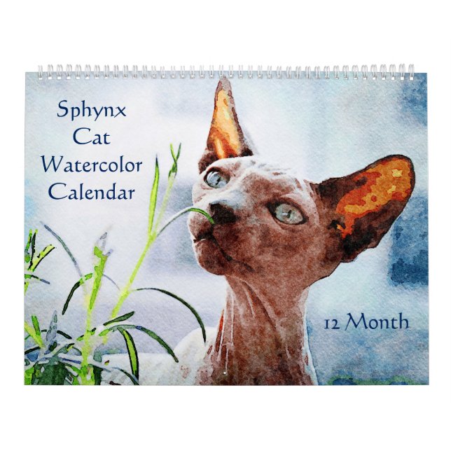 12 Monate Haarlose Sphynx Katzen Aquarellbilder Kalender (Titelbild)