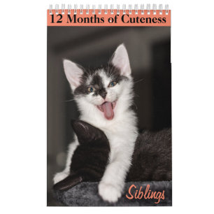 12 Monate Kittenkätzchen Geschwister Kalender