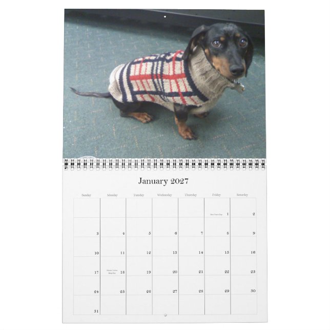 12 Monate mit dem tootise Hund Kalender (Jan 2027)